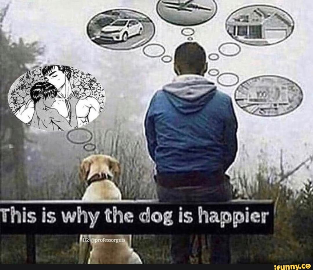 \ } his is why the dog is happier