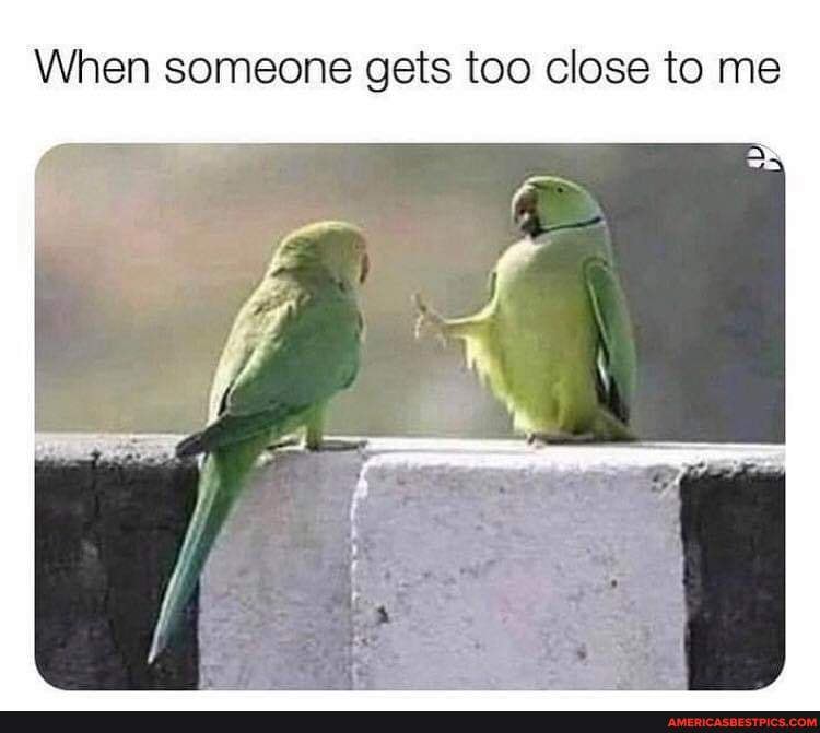 When someone gets too close to me