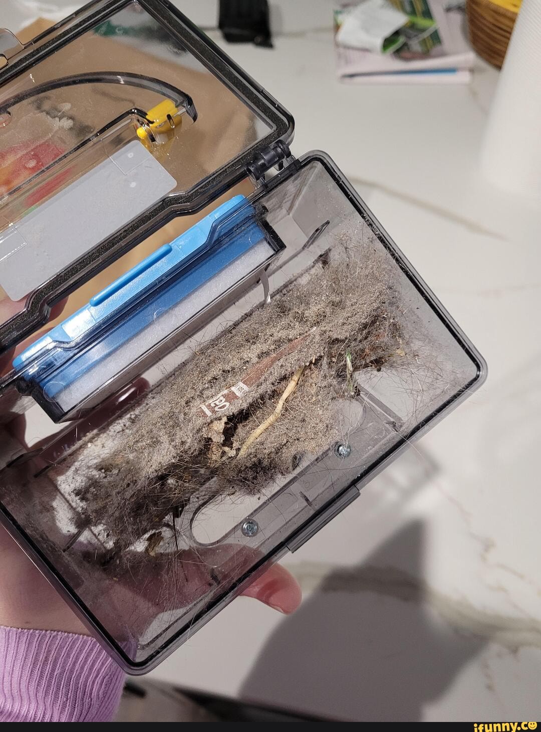 Robot_vacuum memes. Best Collection of funny Robot_vacuum pictures on