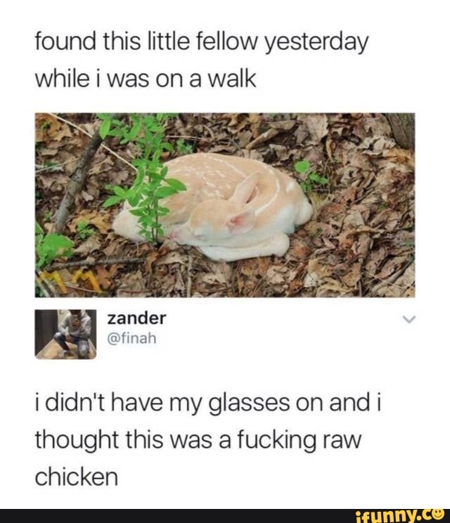 found this little fellow yesterday while i was on a walk
zander
i didn't have my glasses on and i thought this was a fucking raw chicken