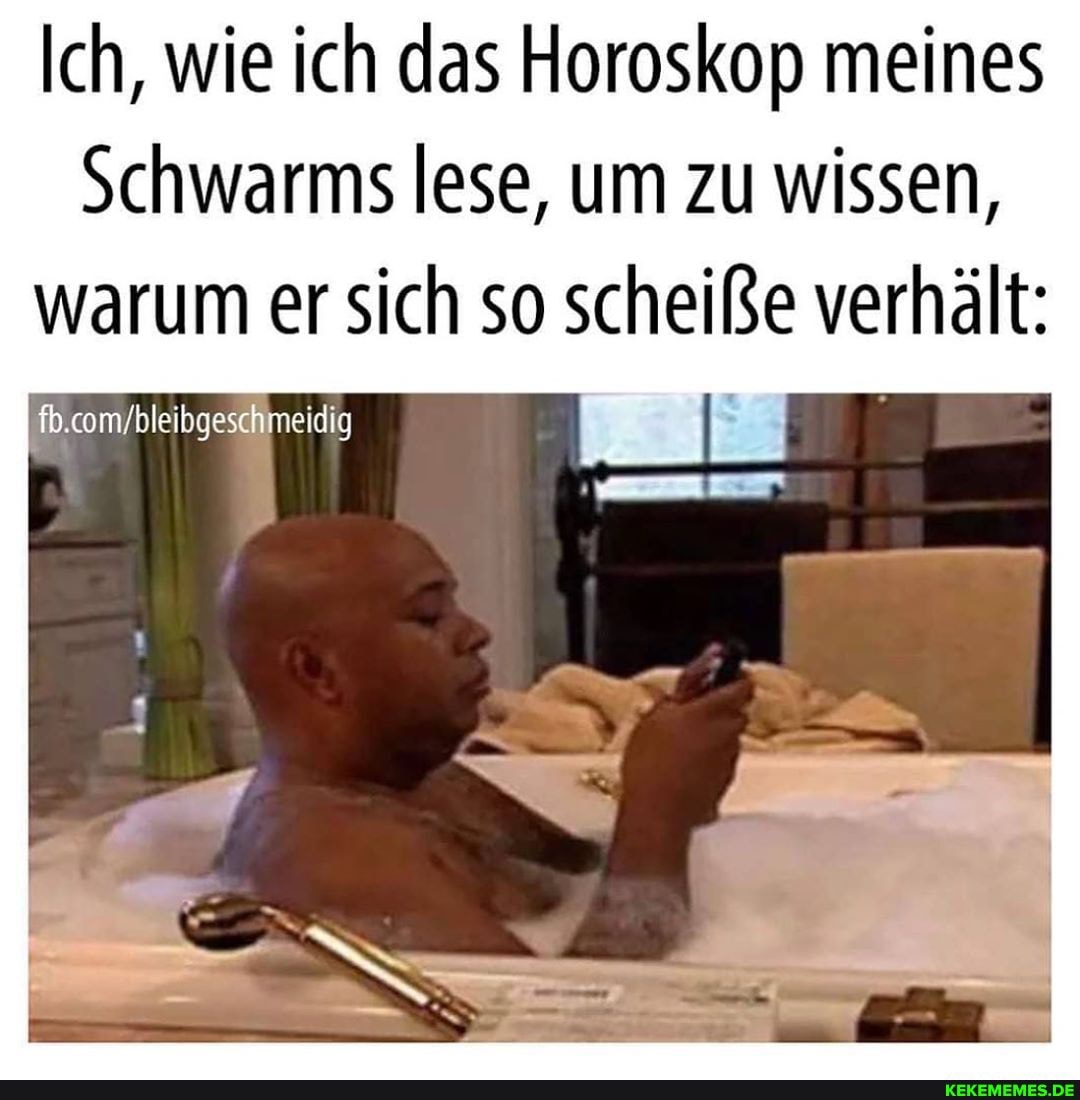 Ich, wie ich das Horoskop meines
Schwarms lese, um zu wissen, warum er sich so scheiße verhält:
meidig
