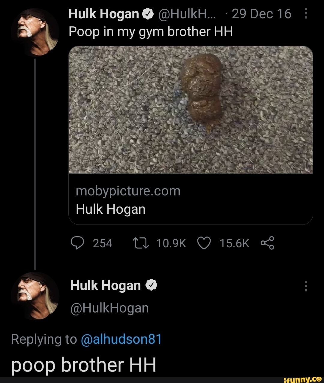 Hulk Hogan @HulkH... -29 Dec 16 Poop in my gym brother HH Hulk Hogan 254  109K 156K Hulk Hogan @HulkHogan Replying to @alhudson81 poop brother HH - )