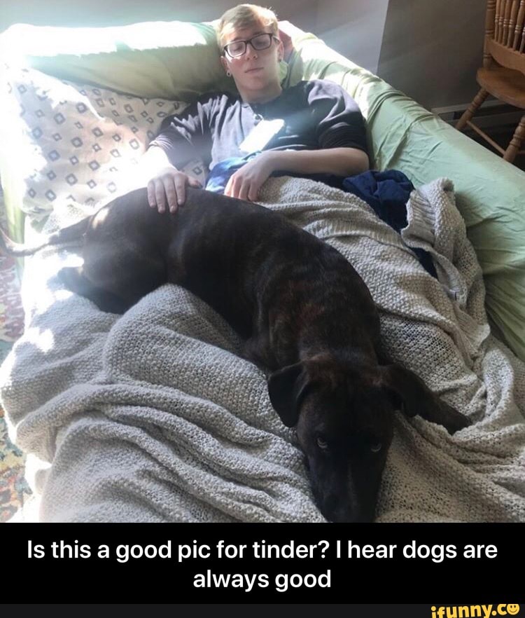 Is this a good pic for tinder? I hear dogs are
always good - Is this a good pic for tinder? I hear dogs are always good