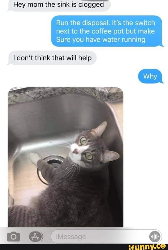 Hey mom the sink is clogged Run the disposal. It's the switch next to