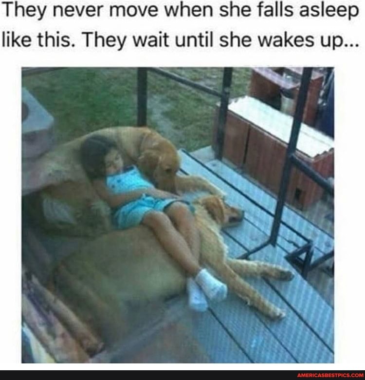 They never move when she falls asleep like this. They wait until she wakes up...