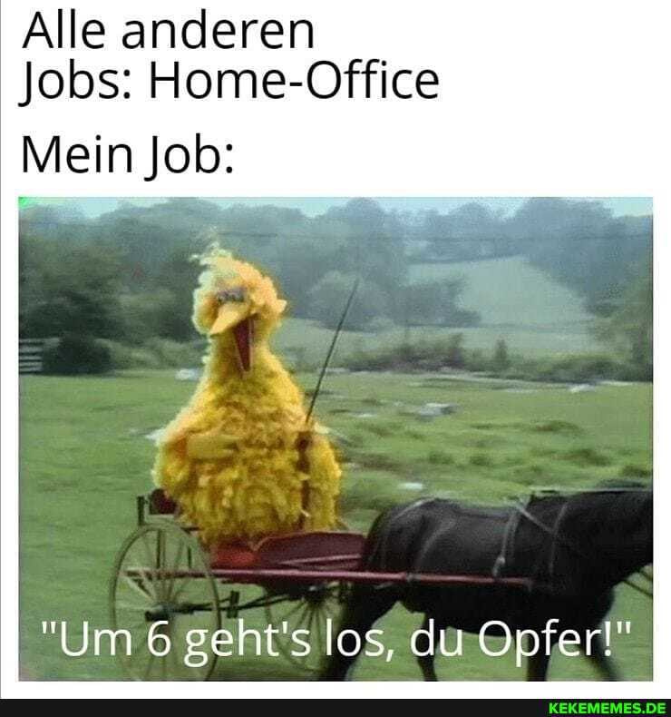 Alle anderen
Jobs: Home-Office
Mein Job:
"Um 6 geht's los, du Opfer!"
