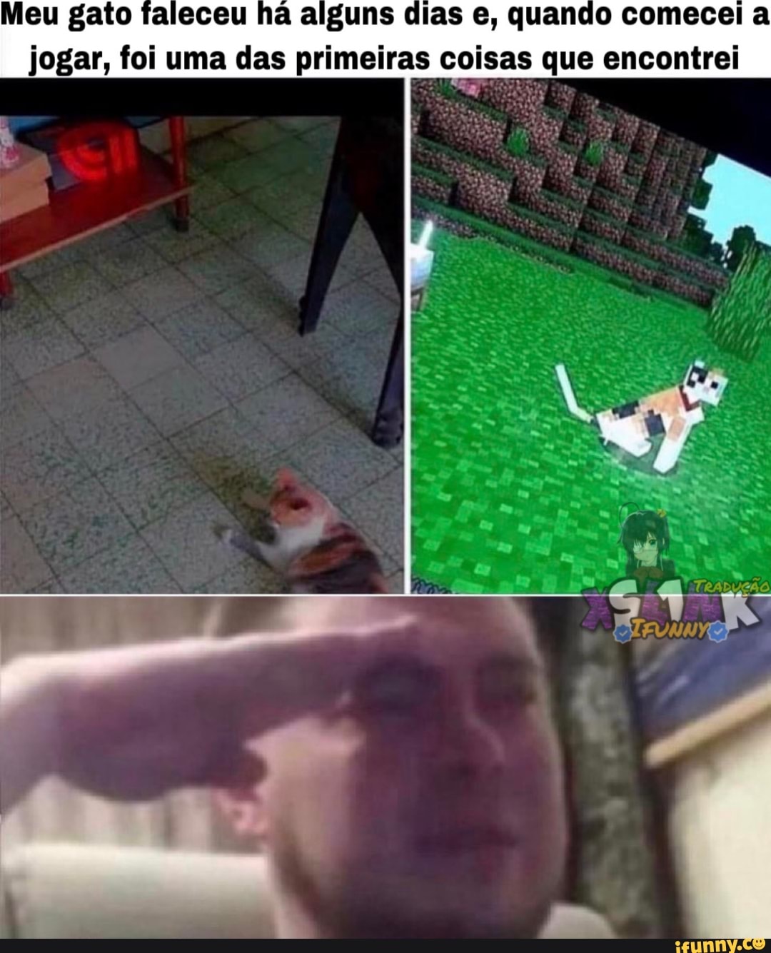 Meu gato faleceu hã alguns dias e, quando comecei a
jogar, foi uma das primeiras coisas que encontrei
