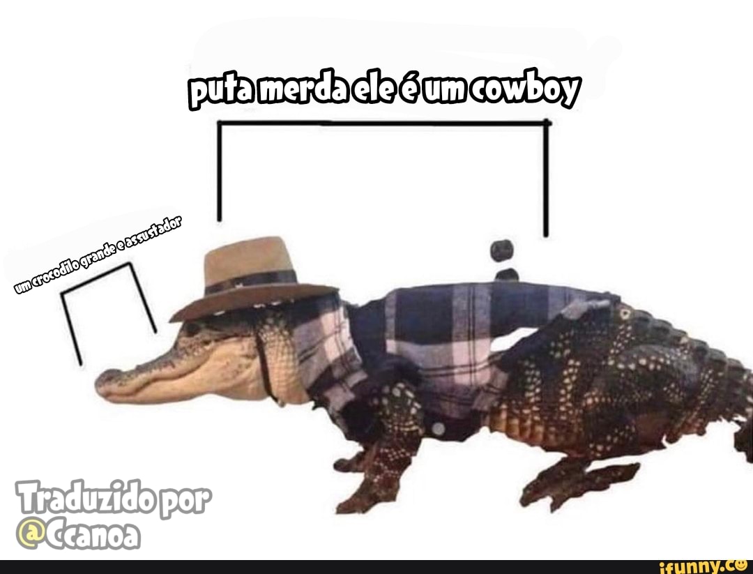 puta merda ele éjumicowbo y)
Traduzido pord canoa)