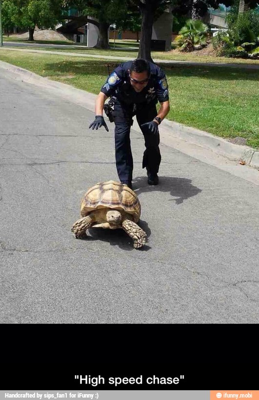"High speed chase" - "High speed chase"