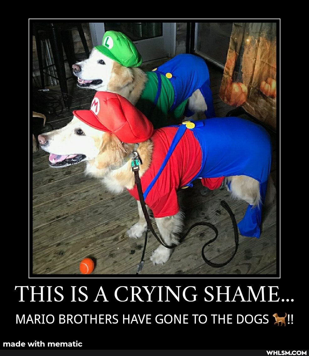 th
THIS IS A CRYING SHAME...
MARIO BROTHERS HAVE GONE TO THE DOGS