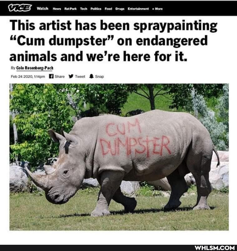 CTEEZ water Tach Pelticn Food Ongn Eiteainment" Mare
This artist has been spraypainting
"Cum dumpster" on endangered animals and we're here for it.
Cole Resenborg-Pach