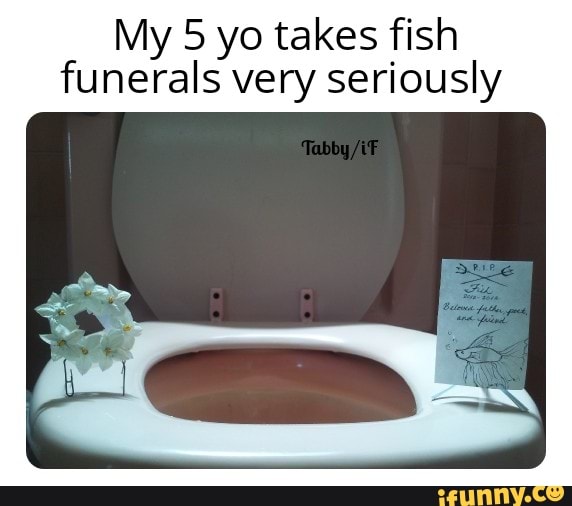 My 5 yo takes fish
funerals very seriously