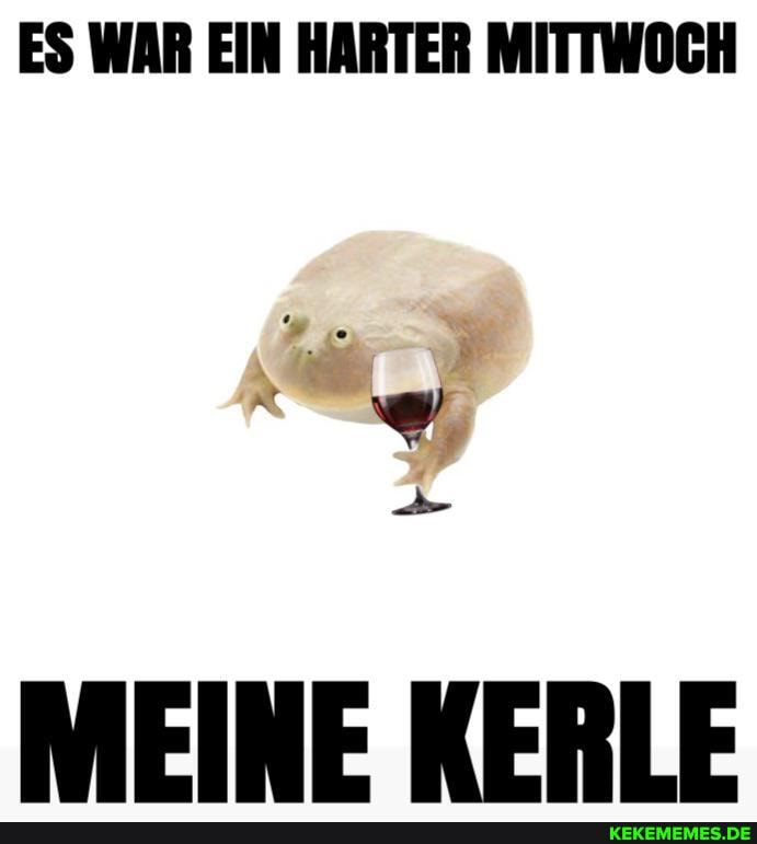 WAR EIN HARTER MITTWOGH
MEINE KERLE