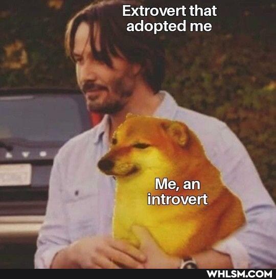 Extrovert that adopted me
Me, an introvert
