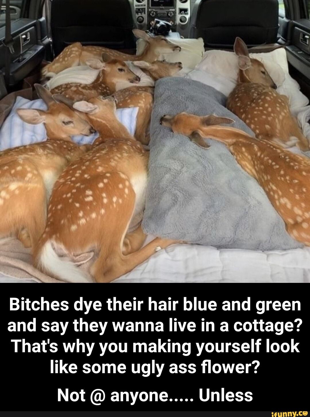 Bitches dye their hair blue and green
and say they wanna live in a cottage?
That's why you making yourself look
like some ugly ass flower? - Not @ anyone..... Unless