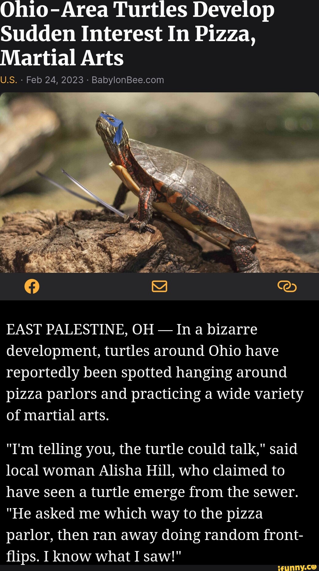 Ohio Rizz Turttle Ohio-Area Turtles Develop Sudden Interest In Pizza, Martial Arts U.S ...