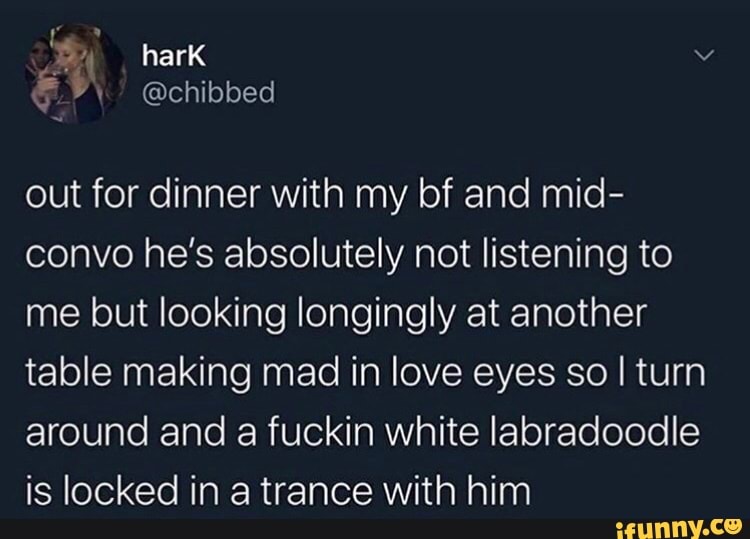 hark
out for dinner with my bf and mid- convo he's absolutely not listening to me but looking longingly at another table making mad in love eyes so I I turn around and a fuckin white labradoodle is locked in a trance with him