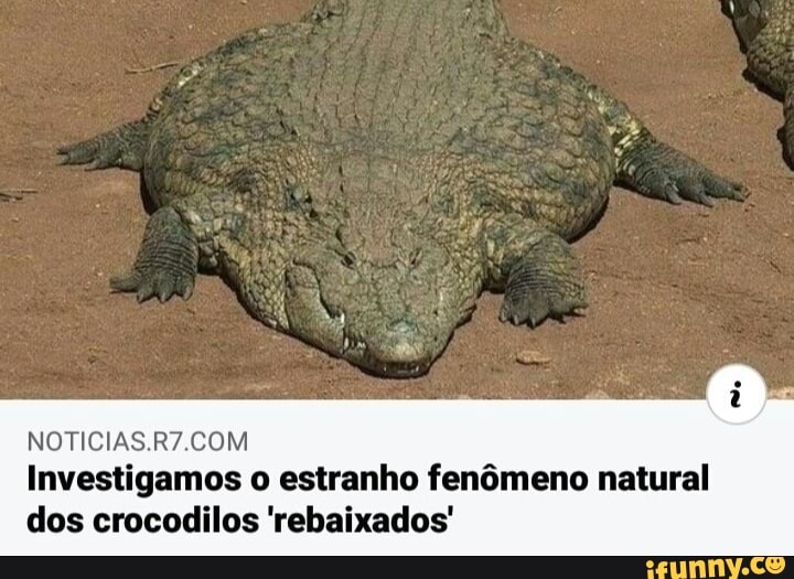 NOTICIAS.R7.COM
Investigamos o estranho fenômeno natural
dos crocodilos 'rebaixados'