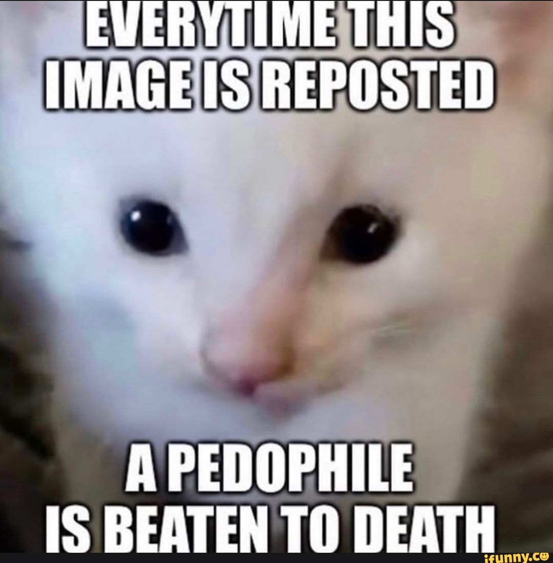 funny, lol, lmao, hahah, lit, wtf, crazy, repub