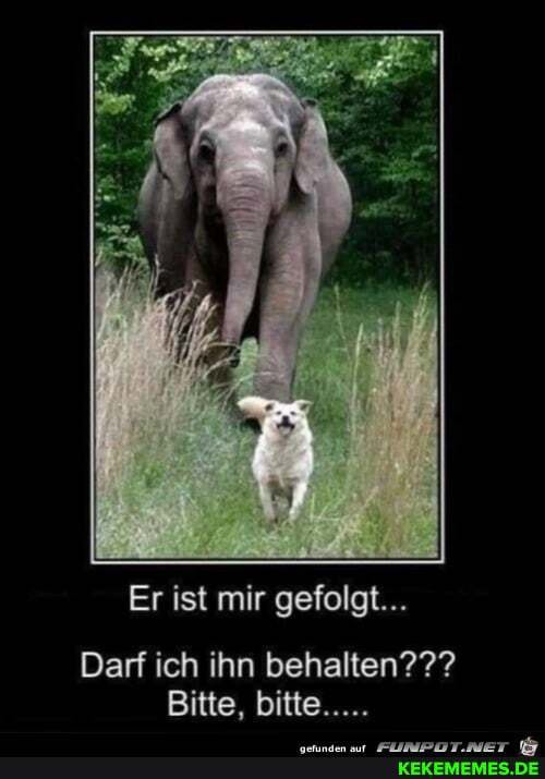 Er ist mir gefolgt...
Darf ich ihn behalten???
Bitte, bitte.....