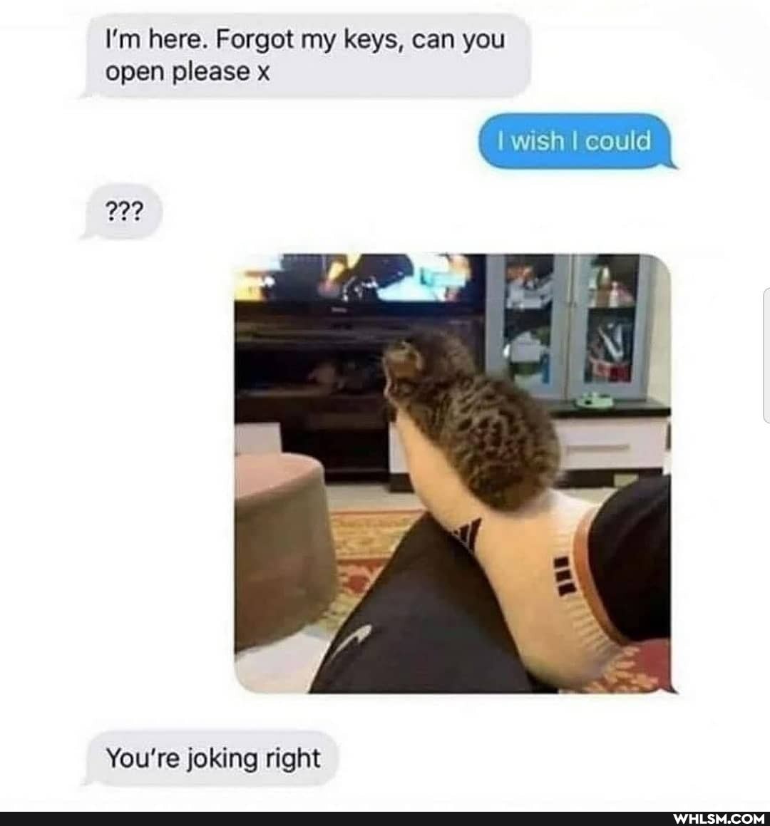 I'm here. Forget my keys, can you open please
w sh could
Re
You're joking right
