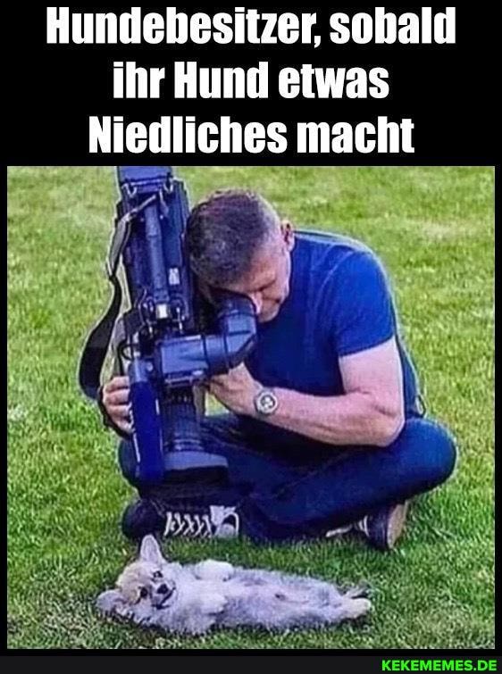 Hundebesitzer, sobald ihr Hund etwas
Niedliches macht