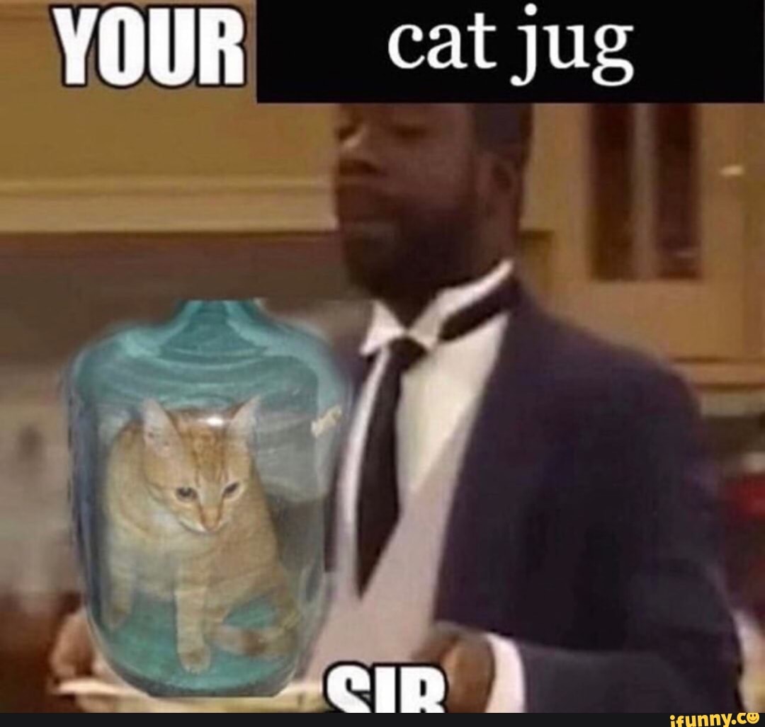 YOUR cat jug