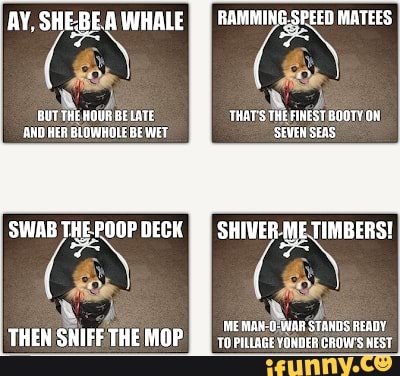 RAMMING. SPEEO MATEES
AY, SHE.BEA WHALE
TWATS THE FINEST BODTY SEVEN SEAS
RUT THE HOUR BE LATE AND HER BLOWHOLE BE WET
SWAB THEPOOP DECK SHIVER. ME TIMBERS!
MEAH WaR STANDS READY
'TO PILLAGE YONDER GROWS NEST
THEN SNIFF THE MOP
