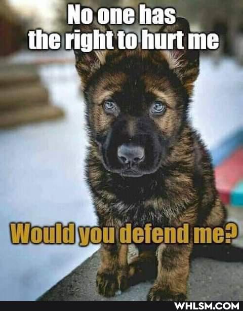 Noone has the right to hurt me
youl defend