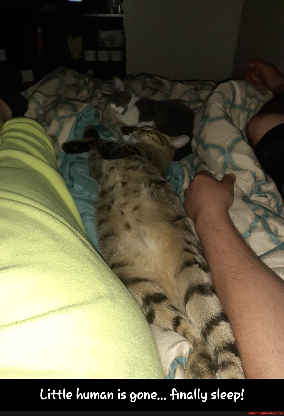 Little human is gone... finally sleep! - Little human is gone... finally sleep!