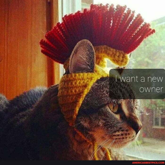 lwant a new owner