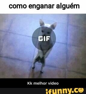 como enganar alguém
Kk melhor video - Kk melhor video