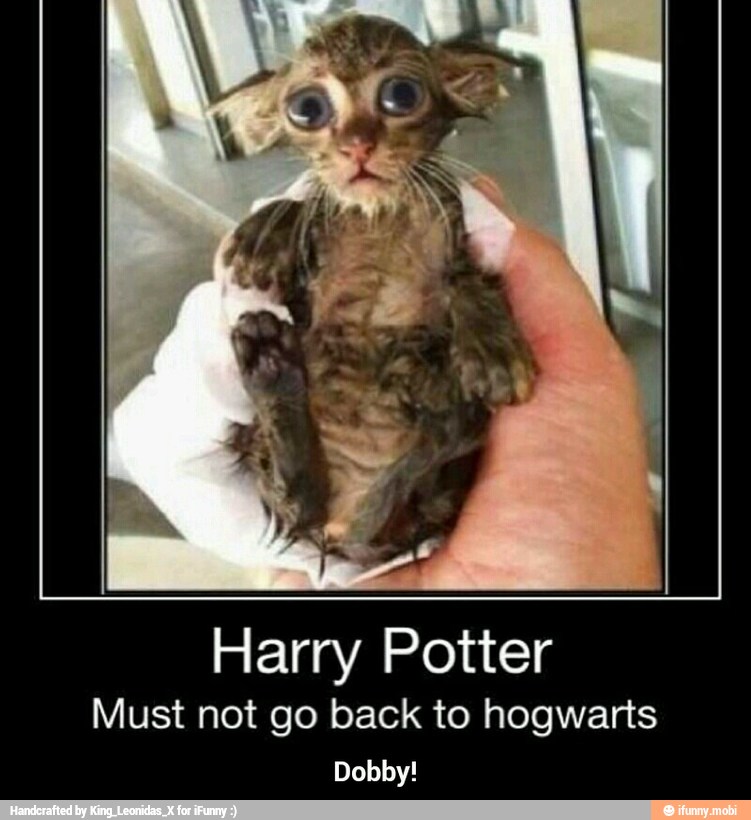 Harry Potter
Must not go back to hogwarts
Dobby! - Dobby!
