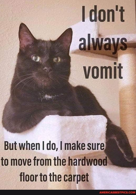 Idon't
vomit
But when I do, I make sure to move from the hardwood floor to the carpet