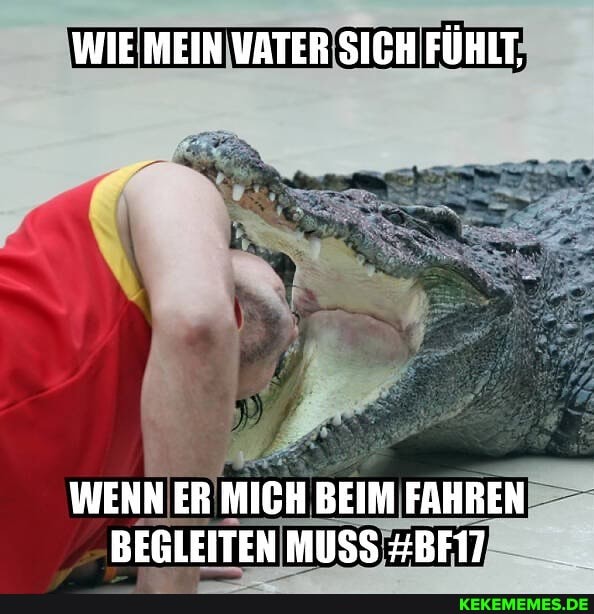 WIE MEIN VATER SICH FÜHLT,
WENN ER MICH BEIM FAHREN BEGLEITEN MUSS #BF17
