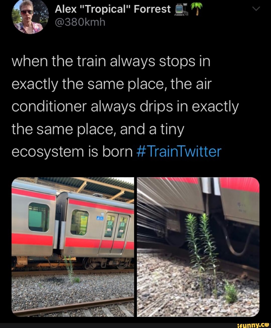 2 "Tropical" Forrest 7 PP
when the train always stops in
exactly the same place, the air
conditioner always drips in exactly
the same place, and a tiny
ecosystem is born TrainTwitter