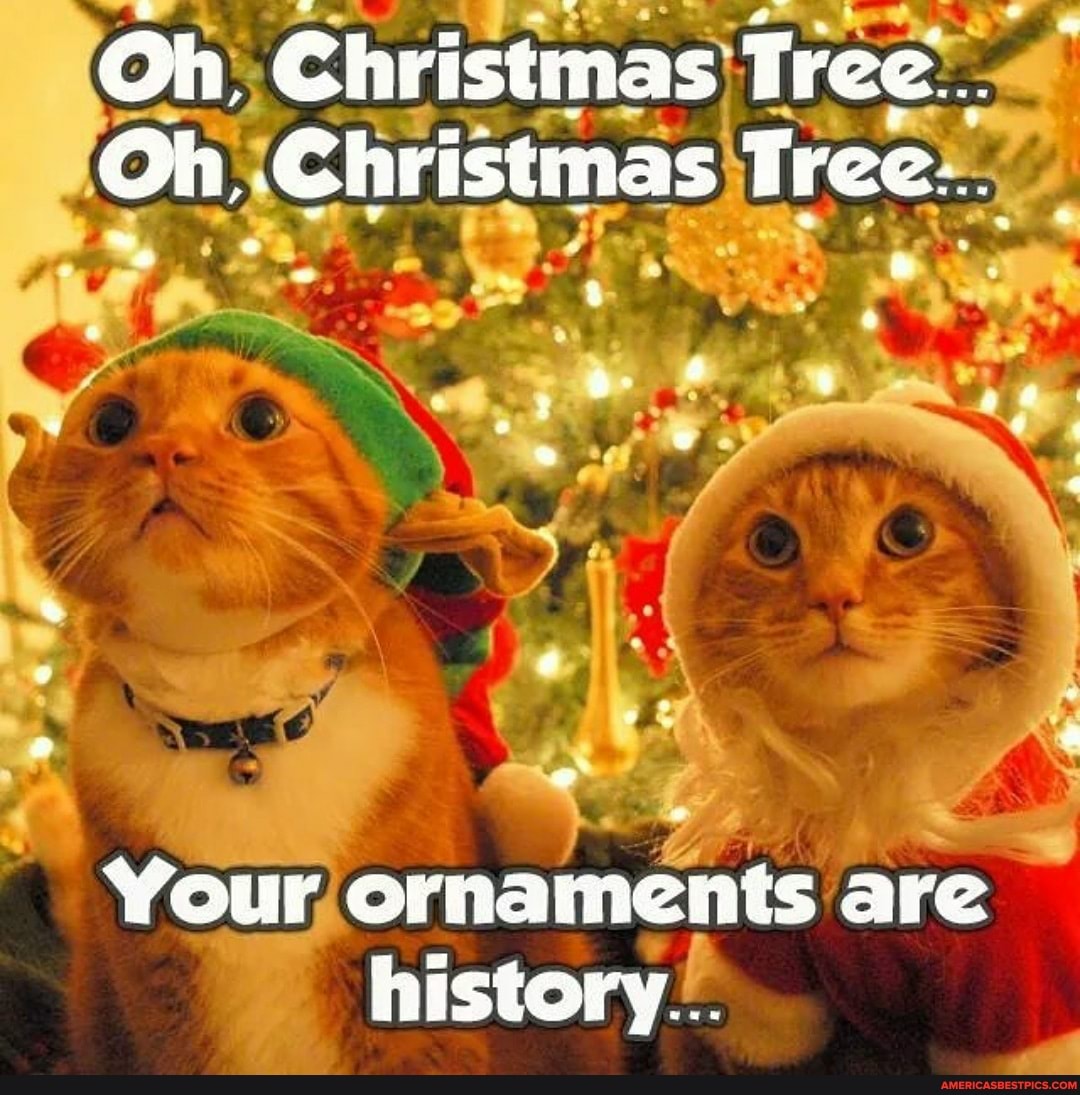 Oh Christmas Tree.
Oh .Christmas Tree:
ad
Your ornaments are history...