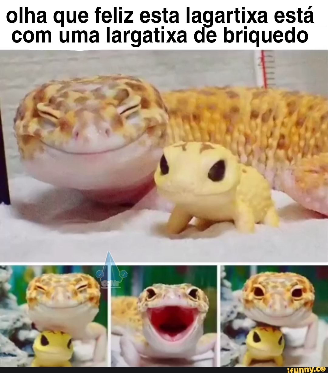 olha que feliz esta lagartixa está com uma largatixa de briquedo