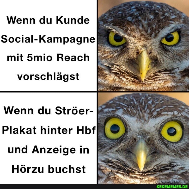 Wenn du Kunde
Social-Kampagne mit 5mio Reach
vorschlägst
Wenn du Ströer-
Plakat hinter Hbf
und Anzeige in
Hörzu buchst