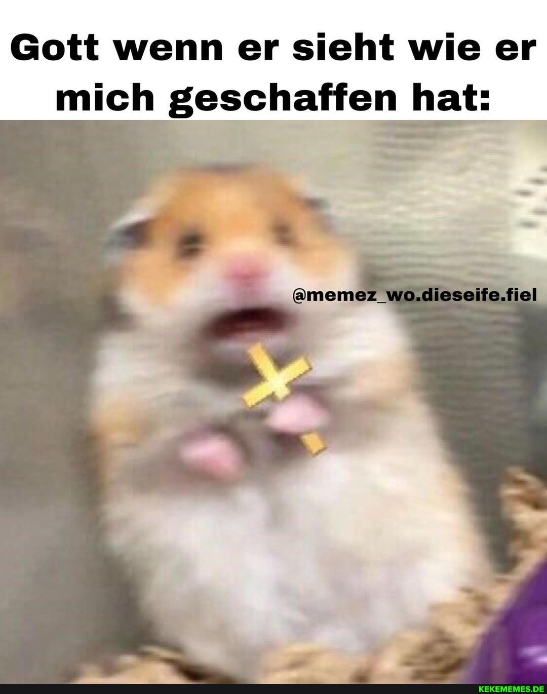 Gott wenn er sieht wie er mich geschaffen hat:
ememez_