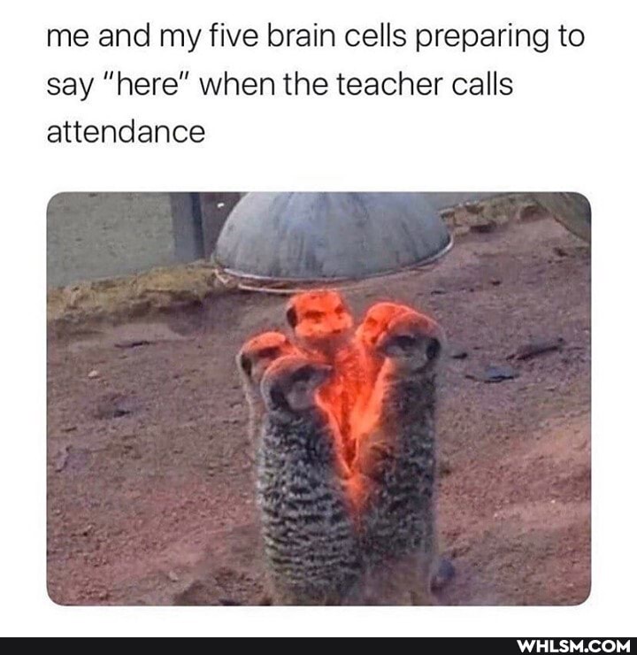 me and my five brain cells preparing to say "here" when the teacher calls attendance