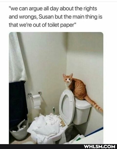 "we can argue all day about the rights and wrongs, Susan but the main thing is that we're out of toilet paper"