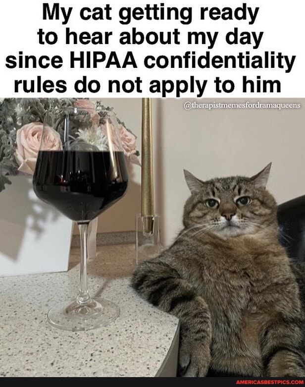 My cat getting ready to hear about my day since HIPAA confidentiality