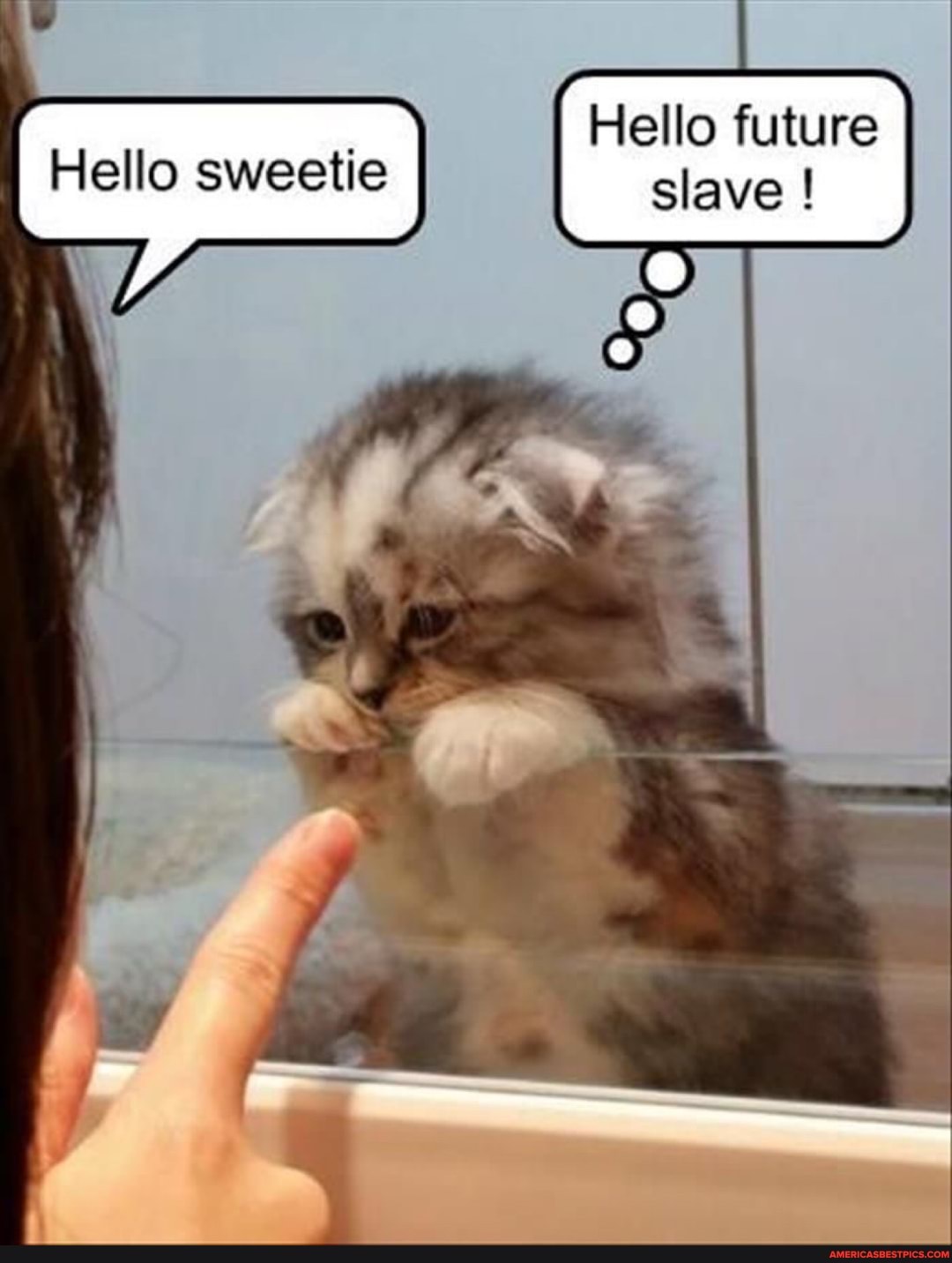 Hello future slave !
Hello sweetie