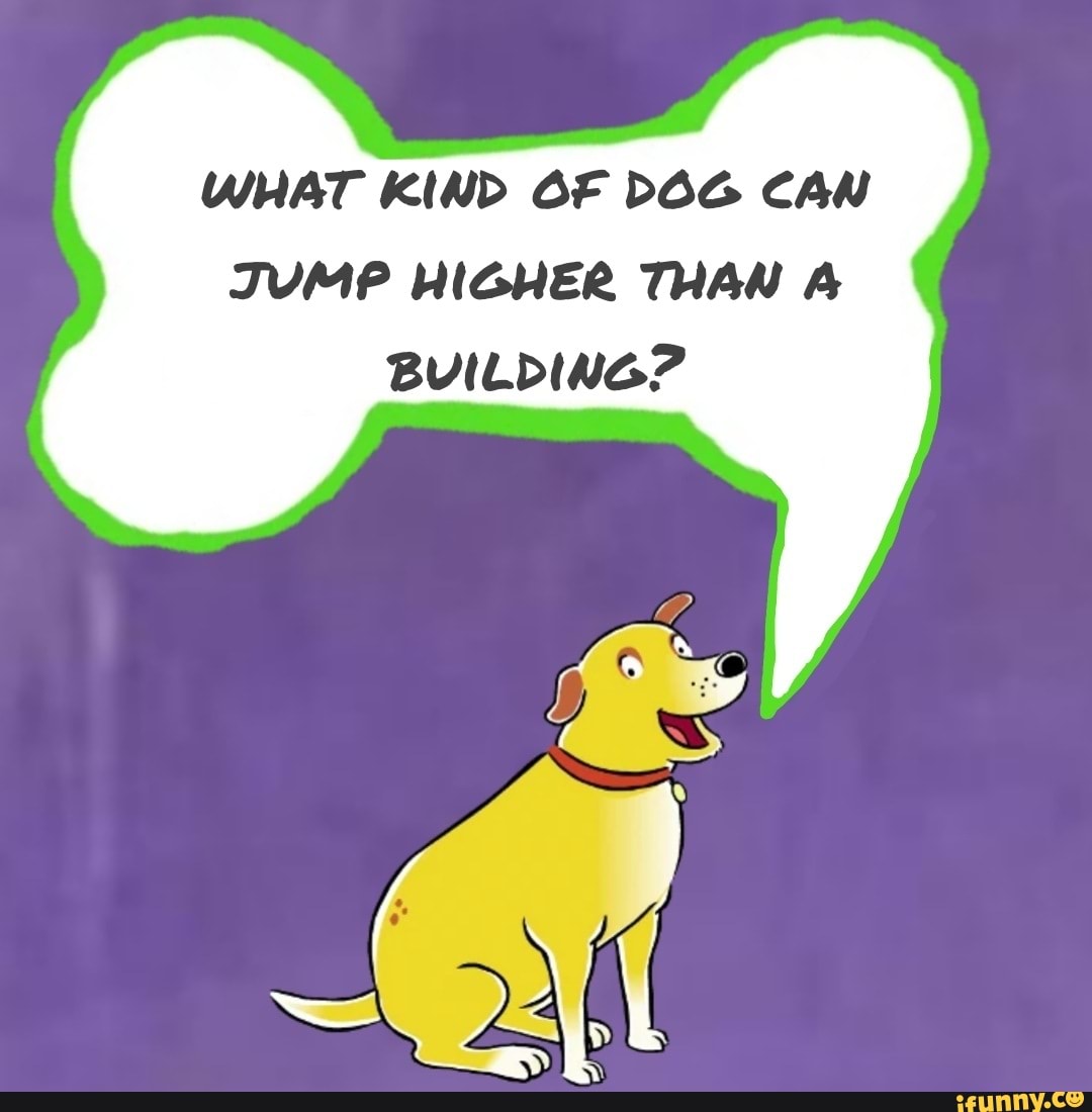 WHAT KIND OF DOG CAN JUMP HIGHER THAN A BUILDING? iFunny