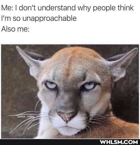 Me: I don't understand why people think
I'm so unapproachable
Also me: