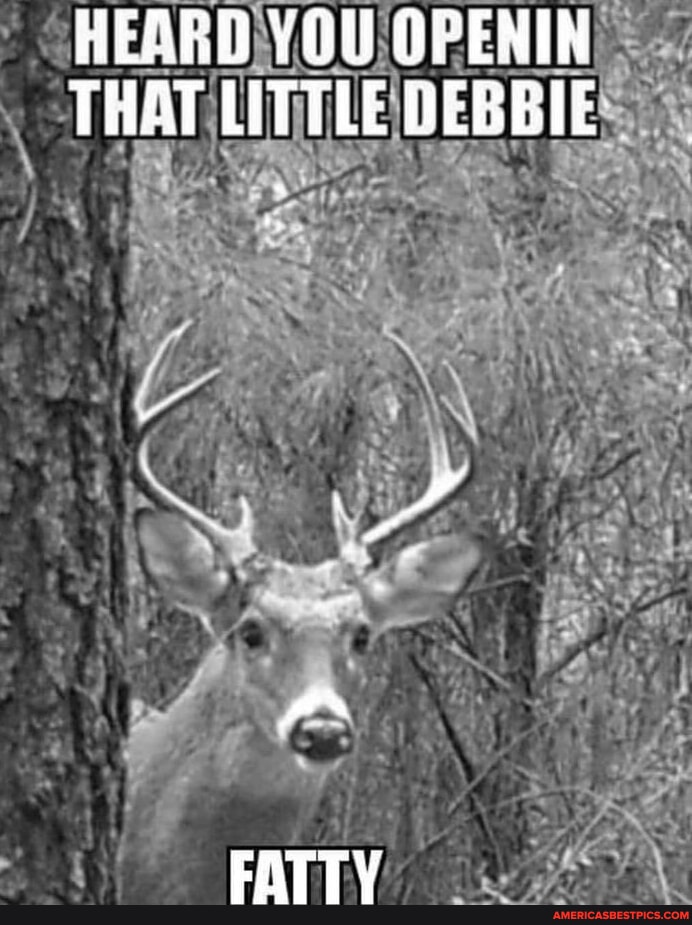 HEARD YOU OPENIN THAT LITTLE DEBBIE FATTY America’s best pics and videos