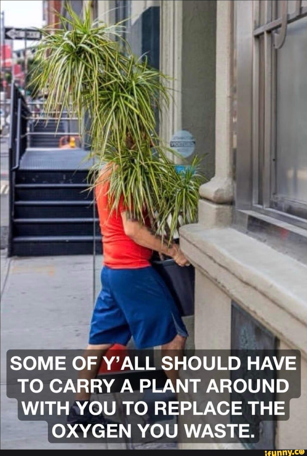 Video memes bClhV3j8B by loubellaxx iFunny