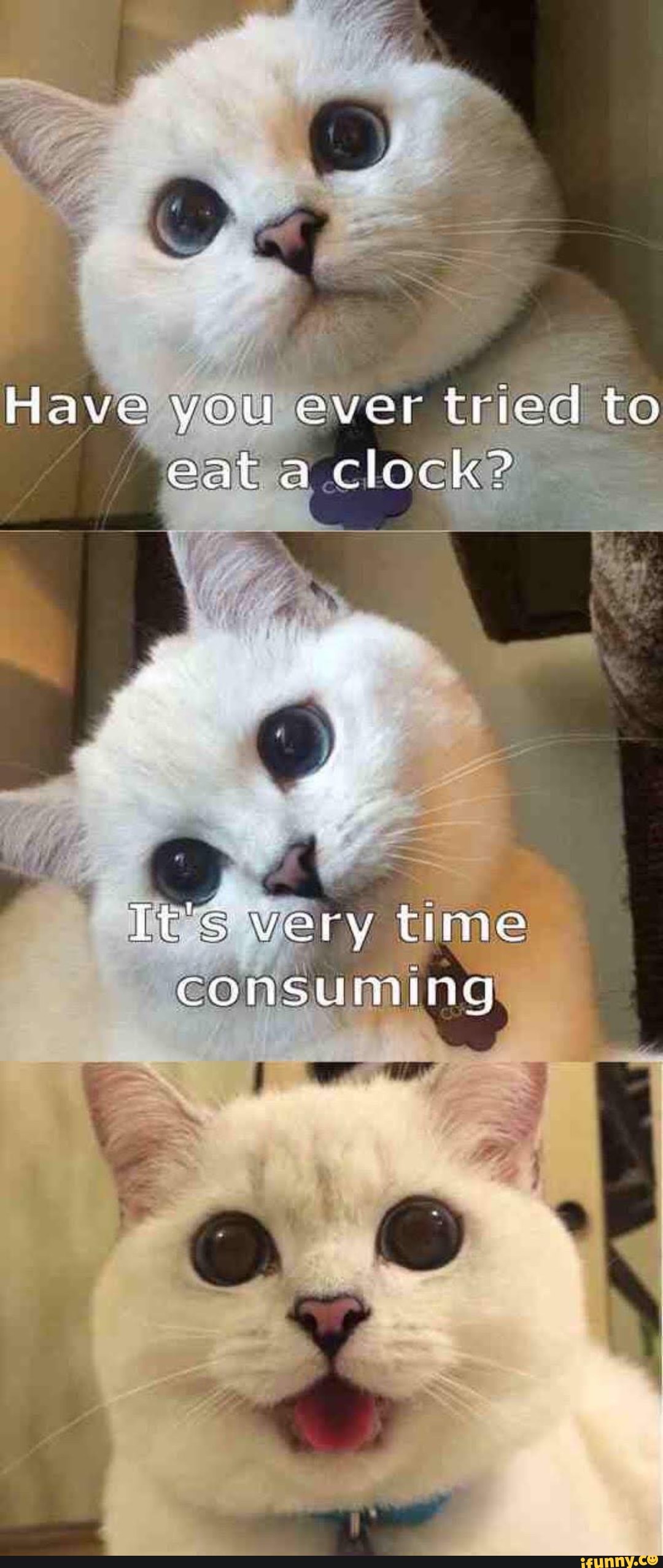 Have you ever tried to
eat a clock?
very time
Fe