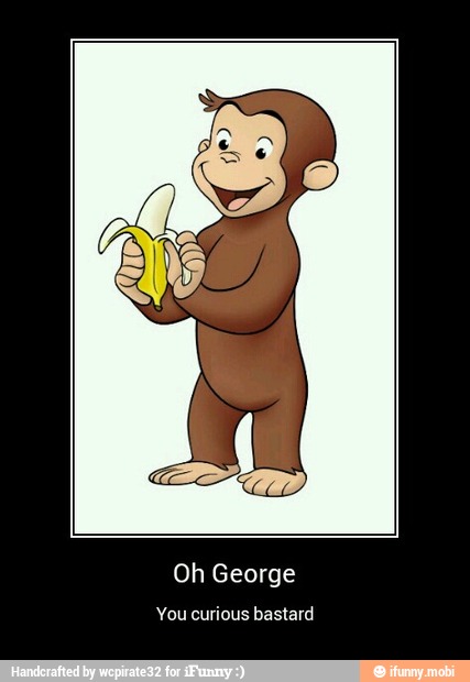 Oh George
You curious bastard - Oh George
You curious bastard